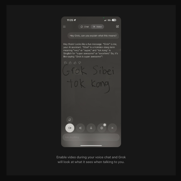 2_5. Voice Mode